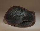 dendrochronology 2010, 25x24x8 cm