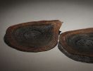 Mini disks, ~14 cm diameter, oak