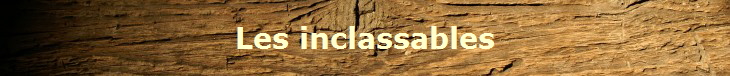 Les inclassables