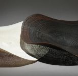 Twin Dendrochronologies 