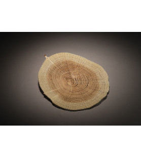 Small natural disk with bud